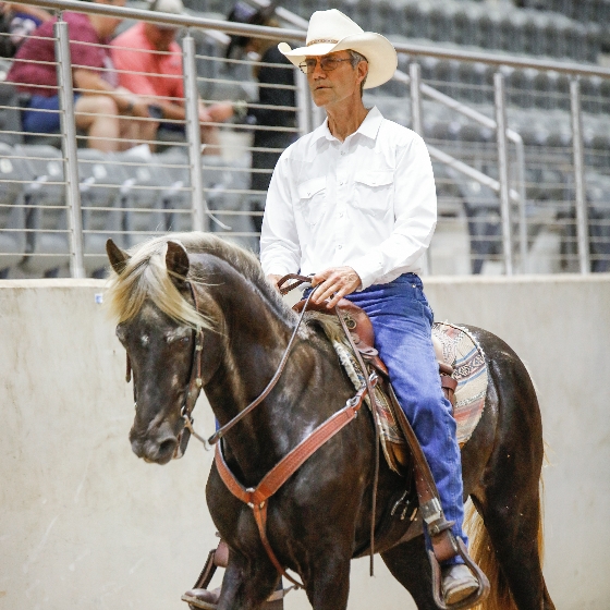 Blue Bonnet Stables